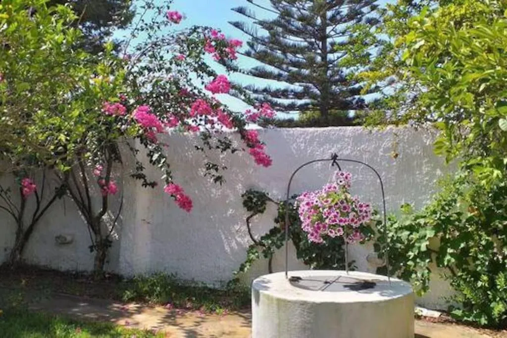 Villa Mozia Riserva Dello Stagnone Marsala